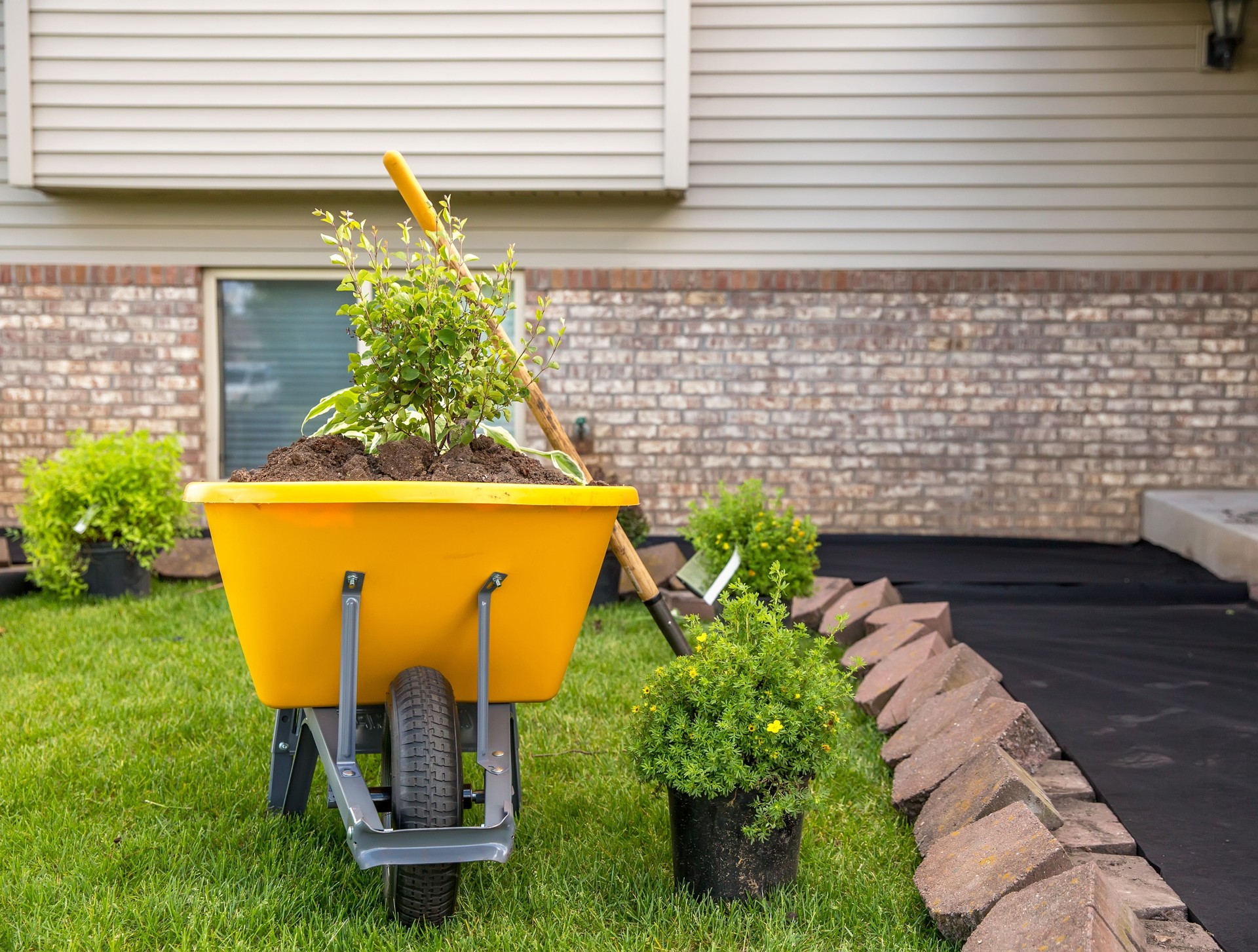 Wheelbarrow & Shrubs - Landscaping Project in Front of House