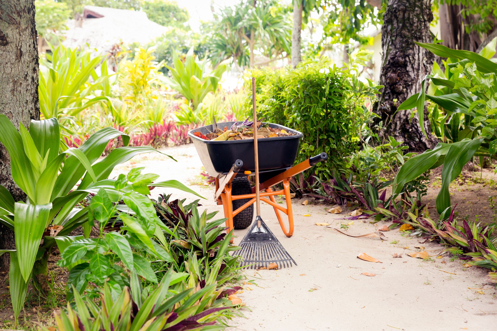 Working in the garden with garden tools, background, copy space