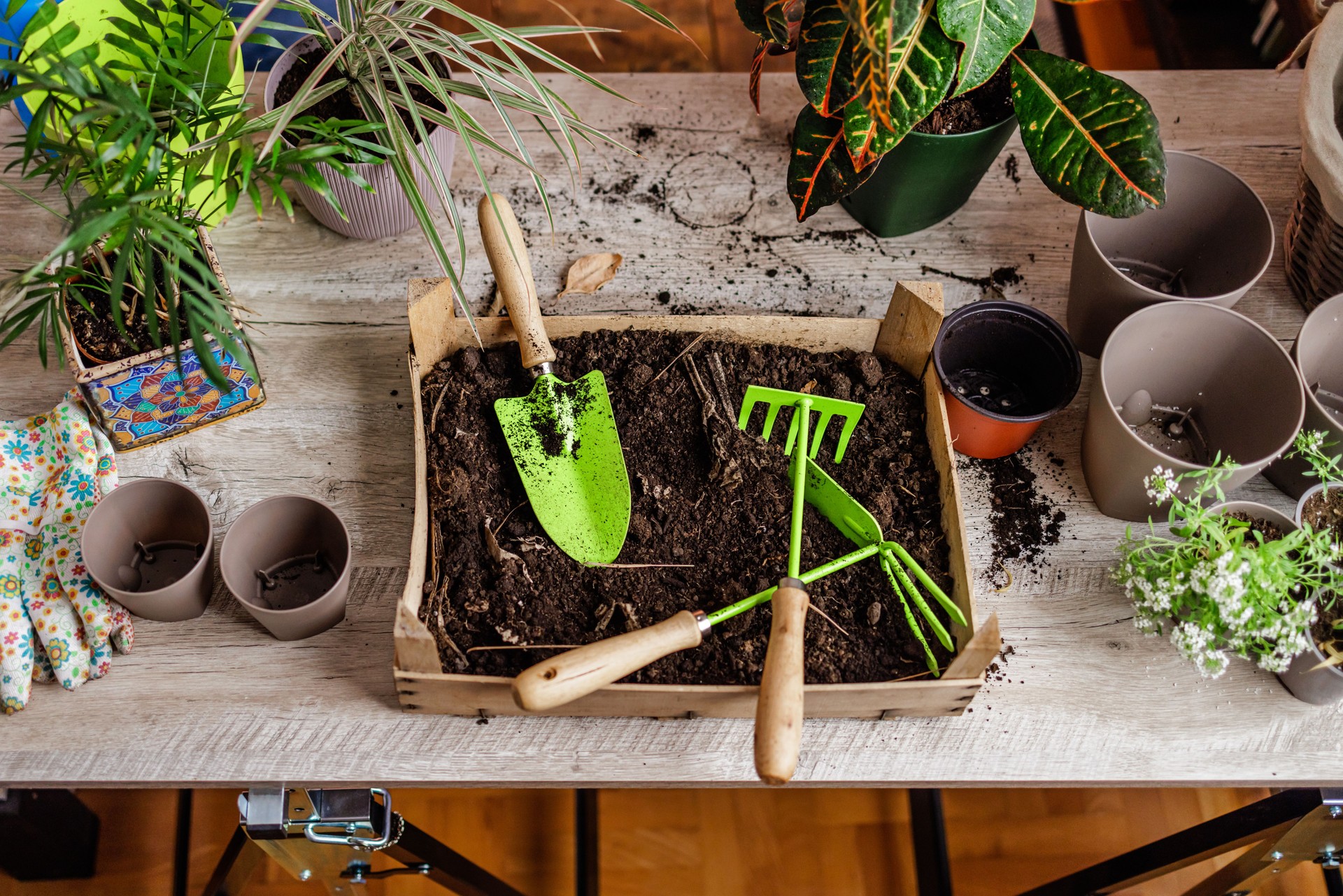 Potting equipment