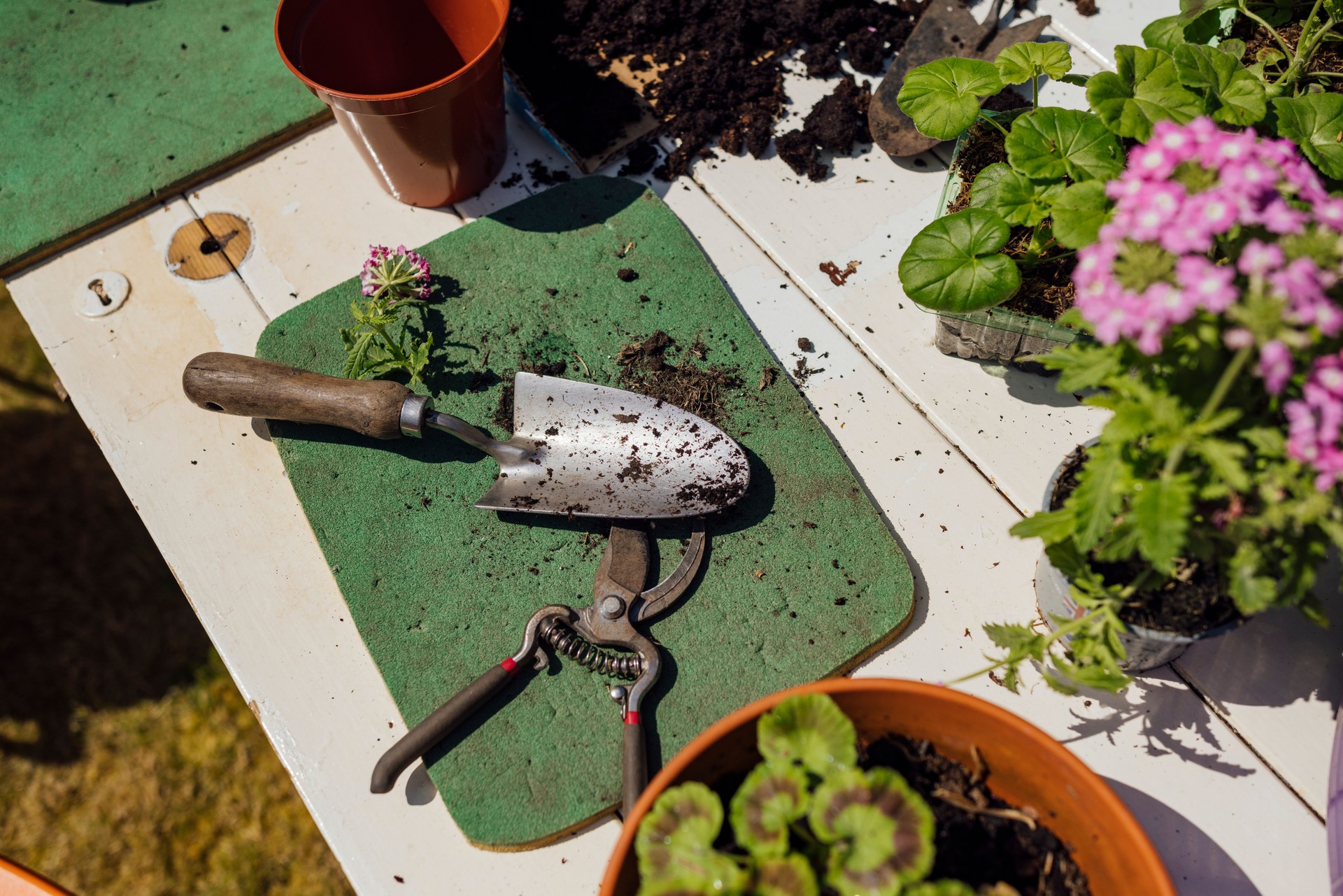 Trowel And Secateurs